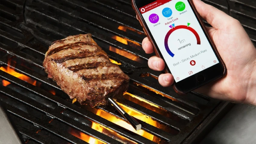 Meat Thermometer App For iPhone